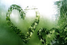 九游正版下载关于窗口期体能课后，阿贾克斯战术微调备战CBA常规赛，媒体盛赞，纪律约束更严格的信息